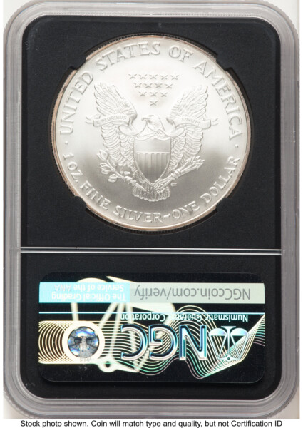 2006 Silver Eagle Vault Box Series 2 Blk Core 10 NGCX