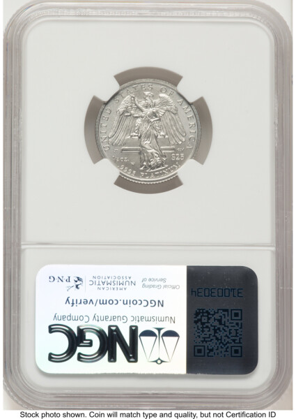 2008-W Burnished Platinum Eagle 1/4 oz Brown Label 70 NGC
