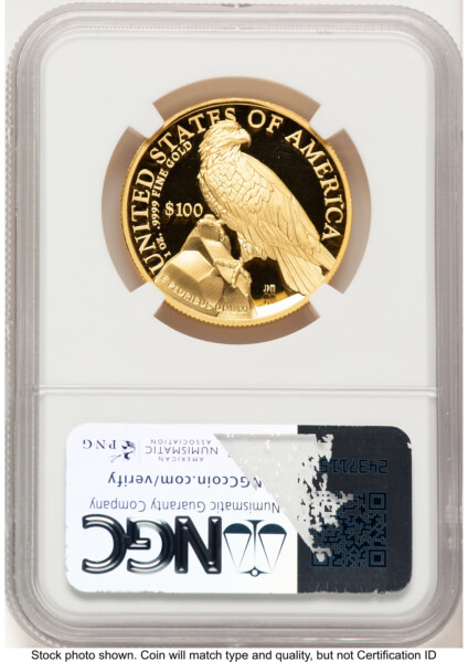 2023-W G$100 American Liberty High Relief, DC Brown Label 70 NGC