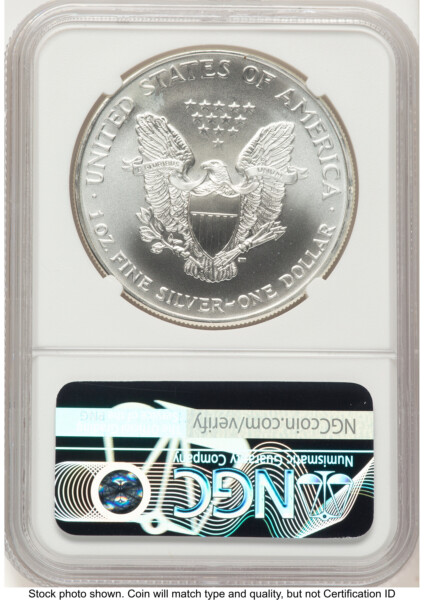 2003 Silver Eagle Brown Label 70 NGC
