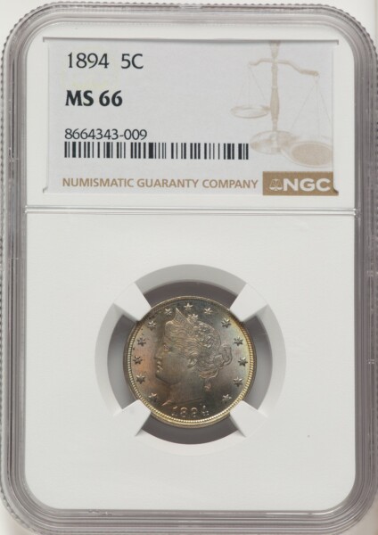 1894 5C 66 NGC