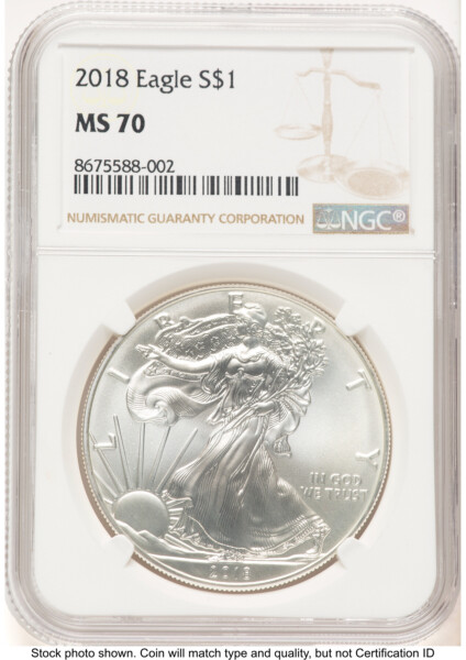 2018 Silver Eagle Brown Label 70 NGC