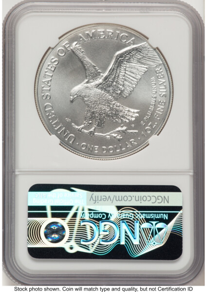 2023-(W) Silver Eagle FDI X-Label 10 NGCX