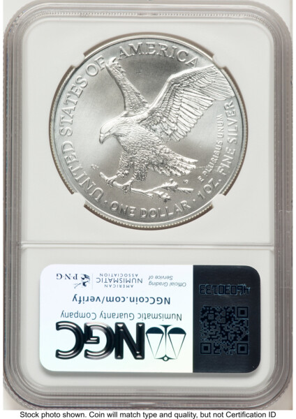 2024-(P) Silver Eagle (Privy Mark) FDI Michael Gaudioso Eagle Art 70 NGC
