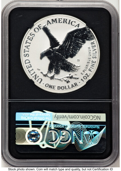 2021-S TY2 Reverse Proof Silver Eagle 1 oz FDI Michael Gaudioso Blk Core 70 NGC