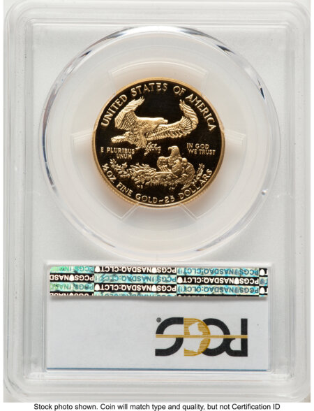 1993-P Proof Gold Eagle 1/2 oz Blue Gradient 70 PCGS