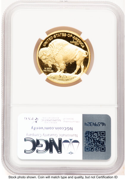 2008-W Proof Gold Buffalo 1/2 oz Brown Label 70 NGC