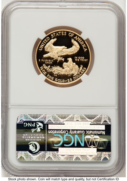 2013-W Proof Gold Eagle 1/2 oz ER Blue 70 NGC
