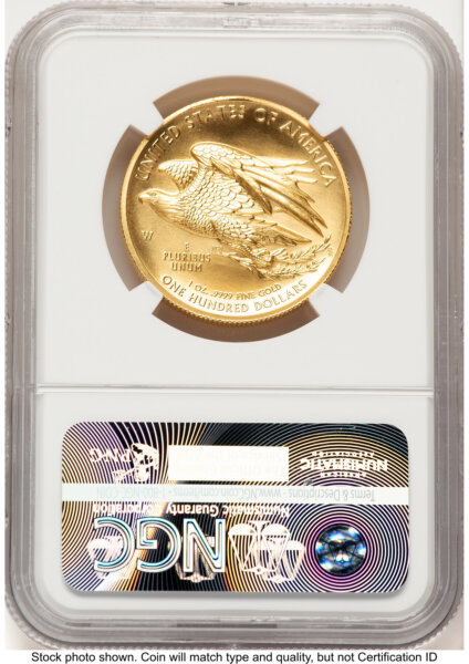 2015-W G$100 American Liberty High Relief FR Bunting Flag 70 NGC