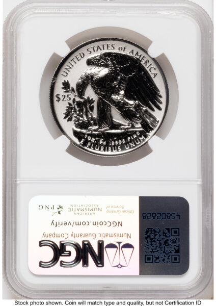 2019-W Palladium Eagle 1 oz, REV PR Mike Castle 70 NGC