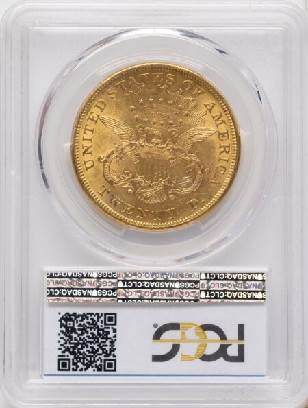 1876 $20 Blue Gradient 61 PCGS