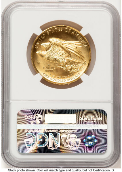 2015-W G$100 American Liberty High Relief ER Bunting Flag 70 NGC