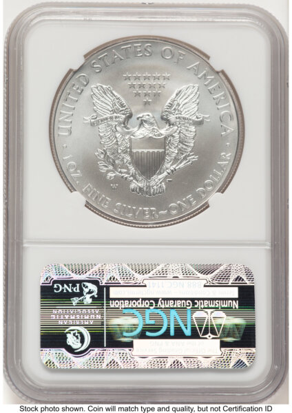 2013-W Burnished Silver Eagle 1 oz ER Blue 70 NGC