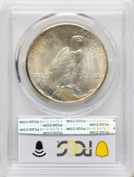 1925 S$1 CAC PCGS Secure 67 PCGS