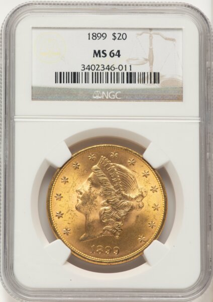 1899 $20 Brown Label 64 NGC