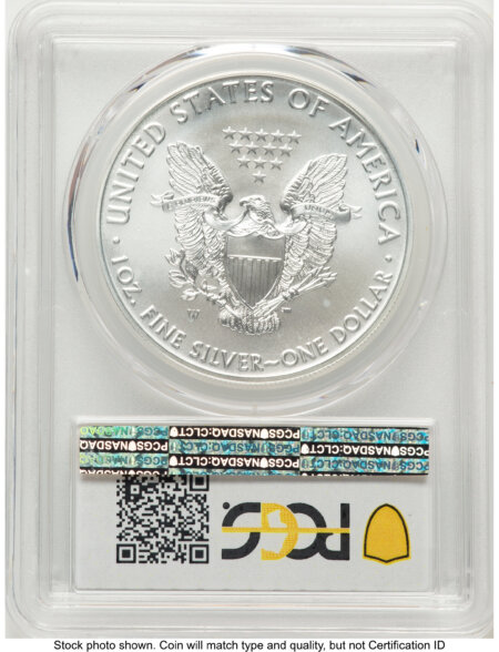 2019-W Burnished Silver Eagle 1 oz Premier Label 70 PCGS