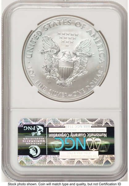 2013-W Burnished Silver Eagle 1 oz Elizabeth Jones 70 NGC