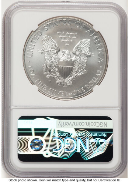 2013-W Burnished Silver Eagle 1 oz Mike Castle 70 NGC