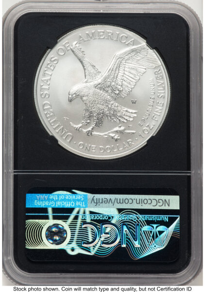 2021-W TY2 Burnished Silver Eagle 1 oz FDI Michael Gaudioso Eagle Flag Blk Core 70 NGC