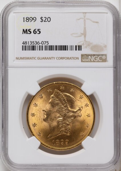 1899 $20 65 NGC