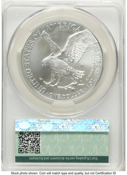 2023-W Burnished Silver Eagle 1 oz First Day Of Delivery 70 CACG