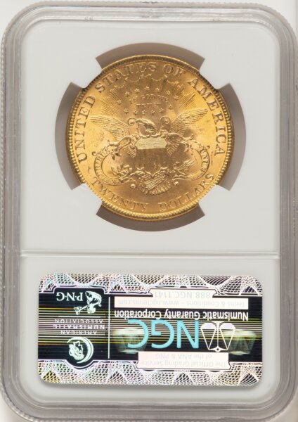 1899 $20 Brown Label 64 NGC