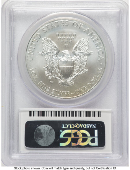 2013-W Burnished Silver Eagle 1 oz FS Eagle Flag Label 70 PCGS